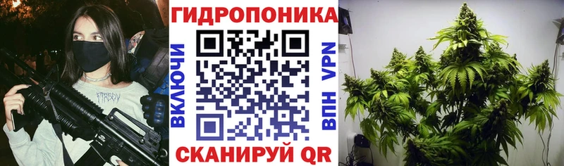 где купить   Высоцк  mega ТОР  Бошки Шишки Ganja 